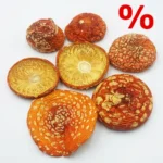 Getrocknete Fliegenpilze (Amanita muscaria)