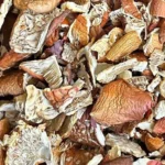 Abgebrochene Kappen des roten Fliegenpilzes (Amanita muscaria)